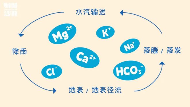 开云·kaiyun体育官方网站登录入口只