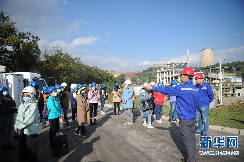 kaiyun体育登录网页入口昆明市厨余垃