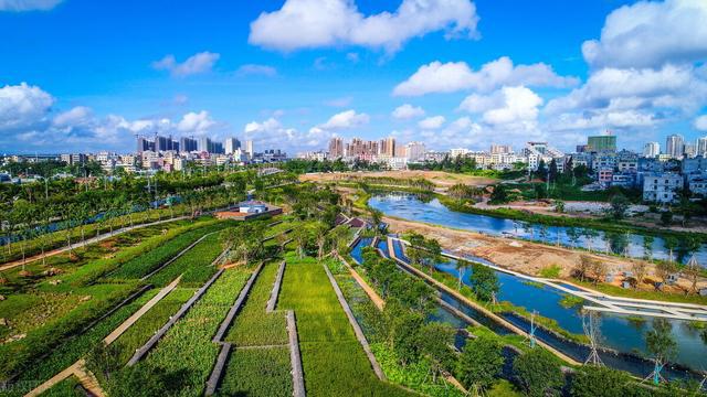 kaiyun体育雨水收集系统更易于管理和实施雨水净化