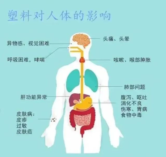 kaiyun体育西航二中教育集团未央一校校区：“减”单生活 摆脱“塑”缚——“全(图2)