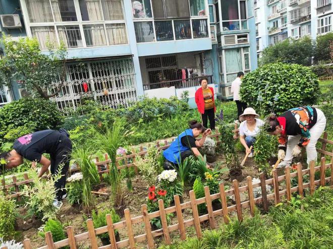 kaiyun体育工作月报了解成都根与芽在5月份的7项工作(图10)