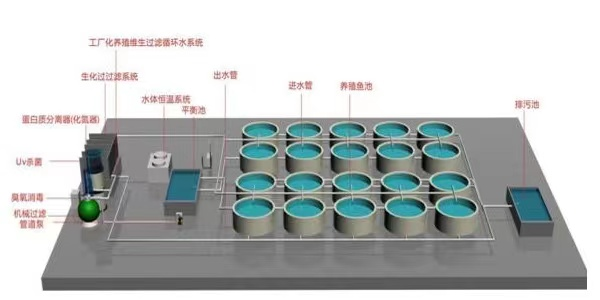 kaiyun体育【智惠农民】水产业效率变革的“双引擎”：科技强农、机械强农“双强